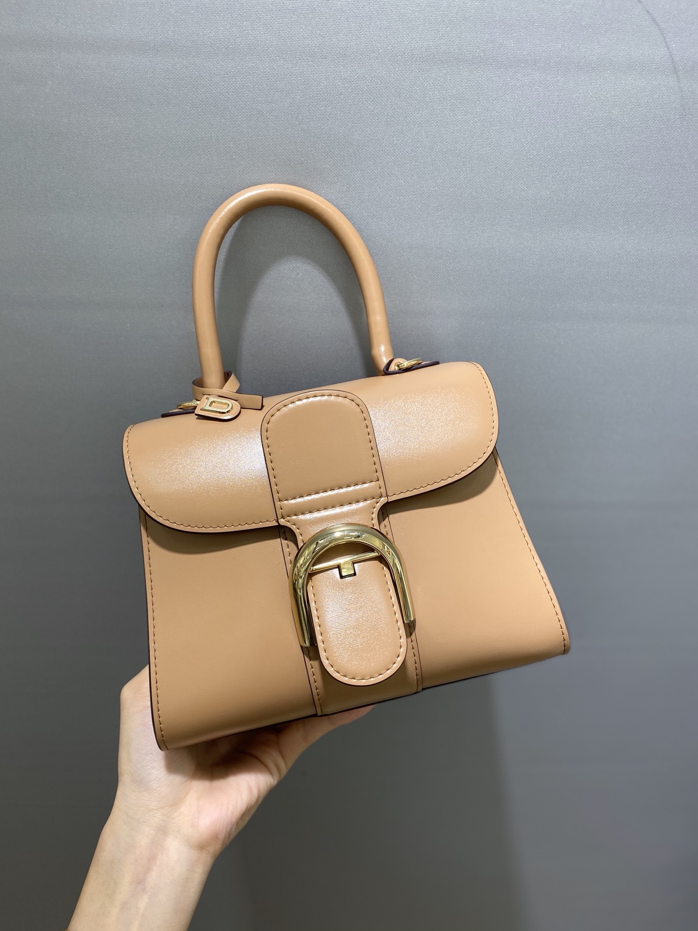 델보 브리앙 박스백 미니